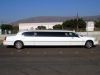 10 passenger limousine