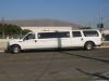 White Stretch Excursion