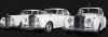 Filename=1961_3whiterolls.JPG
Filesize=31KB
Dimensions=580x201 1961_3whiterolls.JPG