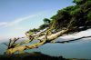 carmel-5.jpg