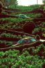 sanfrancisco19.jpg