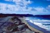 monterey11.jpg