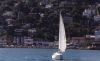 sausalito6.jpg