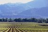 napa-10.jpg