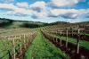 napa-11.jpg