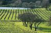 napa-6.jpg