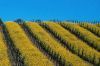 napa-8.jpg