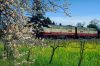 napa3.jpg