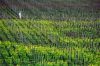 napa4.jpg