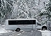31 Passenger Executive Limo Bus (White)