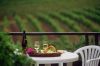 Napa Valley Wine Tours