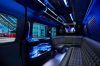 12 Passenger Sprinter Limousine Bus