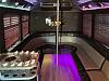 24 Passenger Limo Bus with Dance Pole