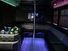 20 Passenger Limo Bus with Dance Pole