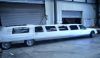 14 Passenger Hot Tub Limousine