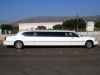 10 Passenger Stretch Limousine