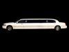 10 Passenger Stretch Limousine
