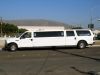 14 Passenger Excursion