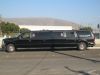 14 Passenger Excursion