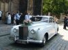 Weddings