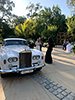 Weddings