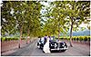 Weddings