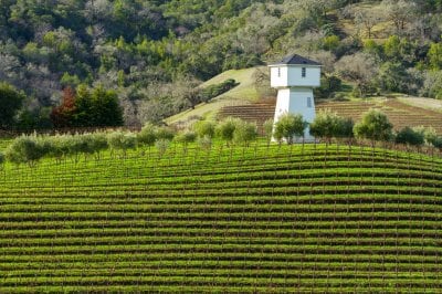 Geyserville Wine - Sightseeing