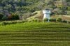 Geyserville Wine - Sightseeing