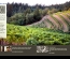 Mt. Veeder Winery & Vineyards