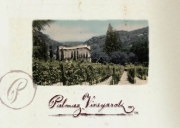 Palmaz Vineyards