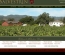 Salvestrin Vineyards